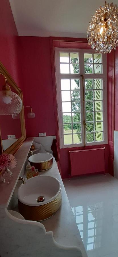 Le Chateau Du Breuil Mazieres-de-Touraine Bagian luar foto